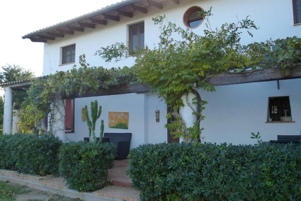 쿠엘라 Cortijo Con Encanto 빌라 외부 사진