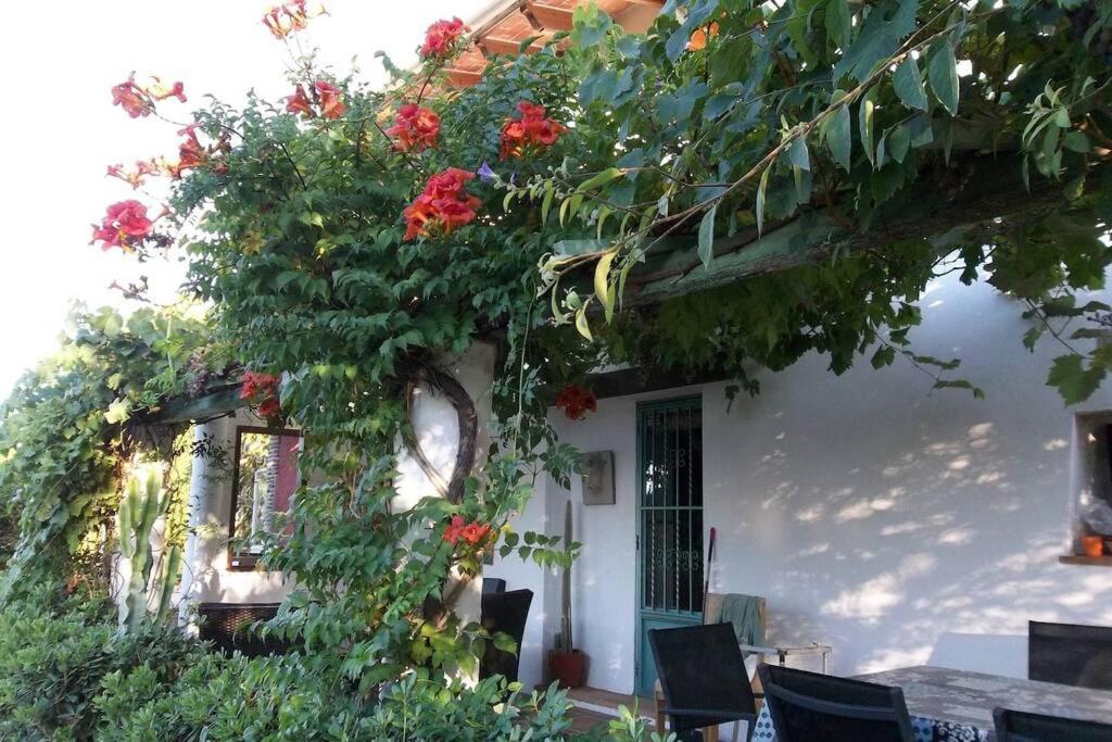 쿠엘라 Cortijo Con Encanto 빌라 외부 사진